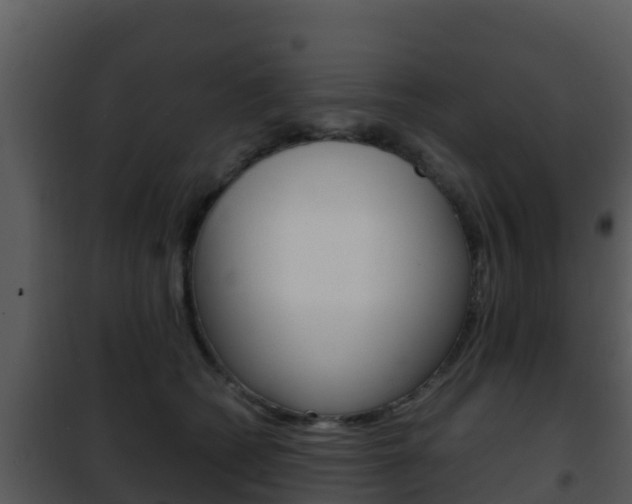 X0000101990562200807180827