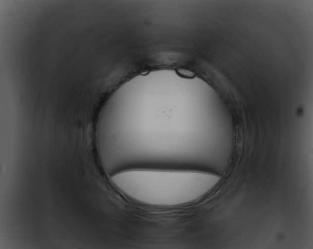 X0000101990563200807180827
