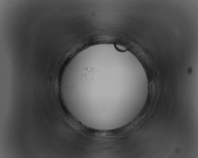 X0000101990564200807180827
