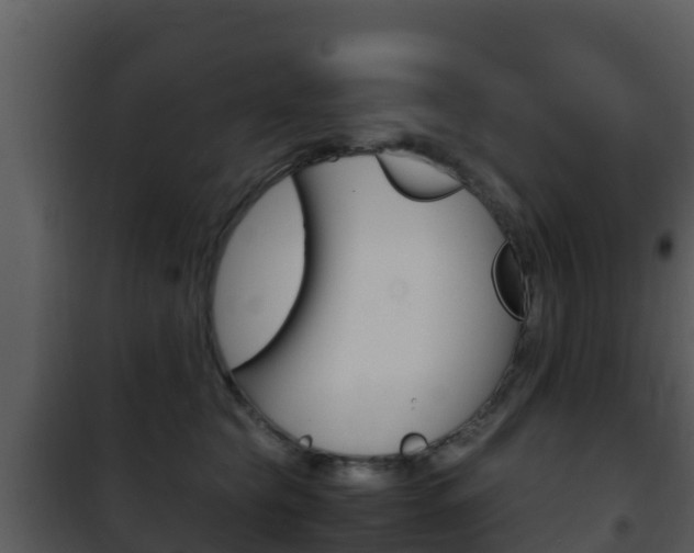 X0000101990565200807180827