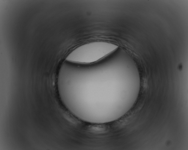 X0000101990567200807180828