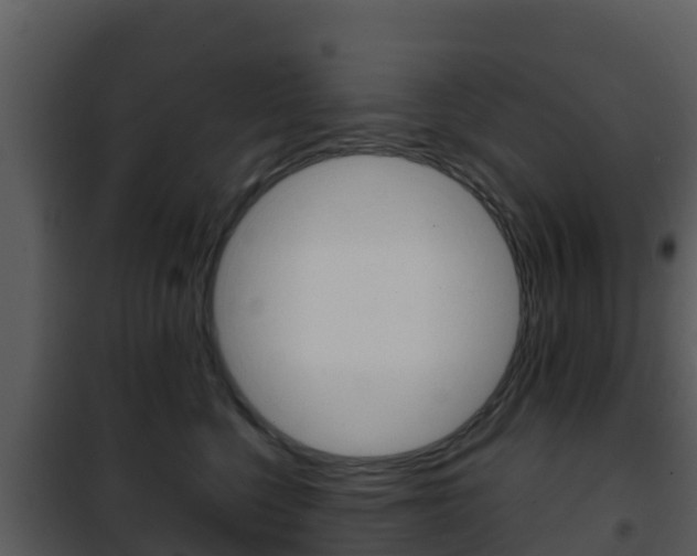 X0000101990568200807180828