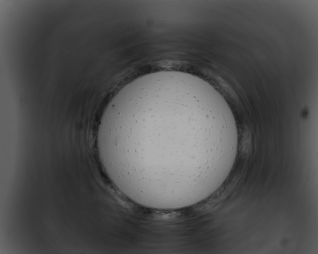 X0000101990569200807180828