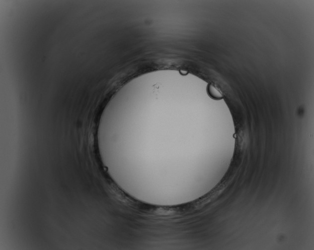 X0000101990570200807180828