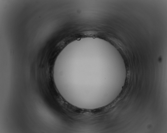 X0000101990572200807180828