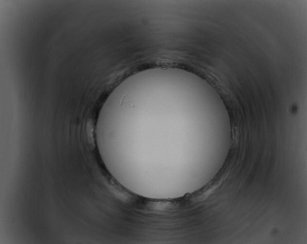 X0000101990575200807180828