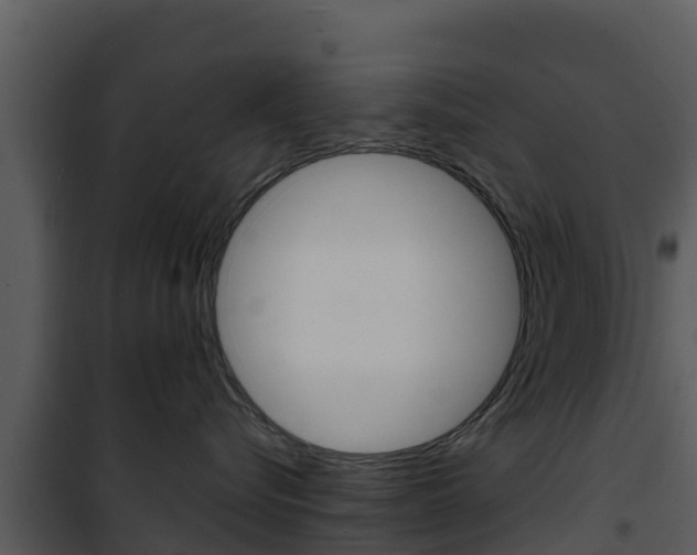 X0000101990576200807180828