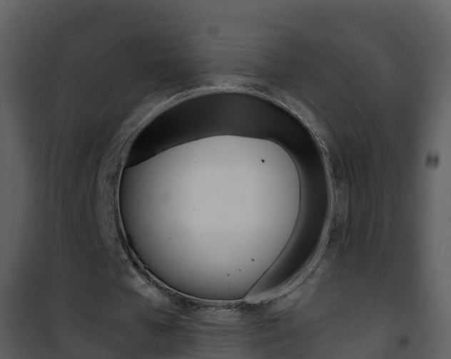 X0000101990577200807180827