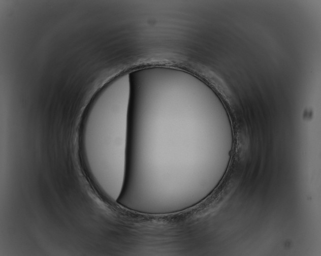 X0000101990578200807180827