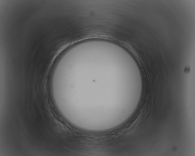 X0000101990579200807180827