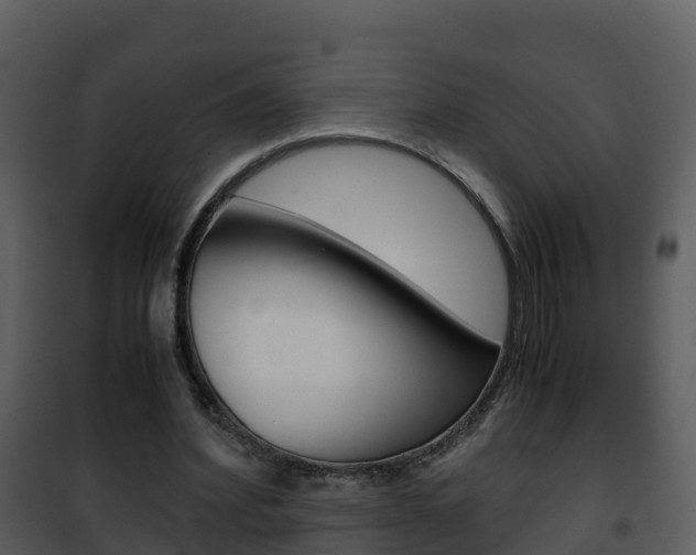 X0000101990580200807180827