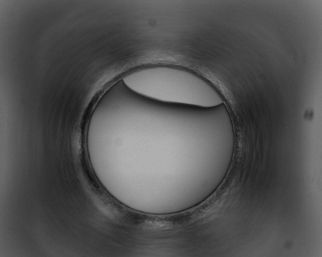 X0000101990582200807180827