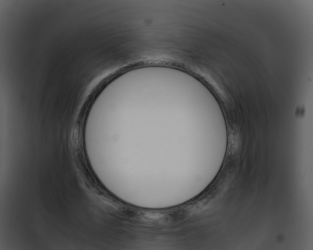X0000101990583200807180827
