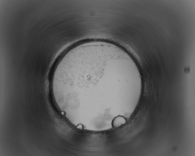 X0000101990584200807180827