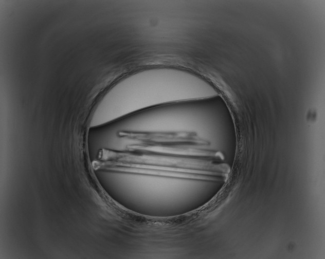 X0000101990585200807180827