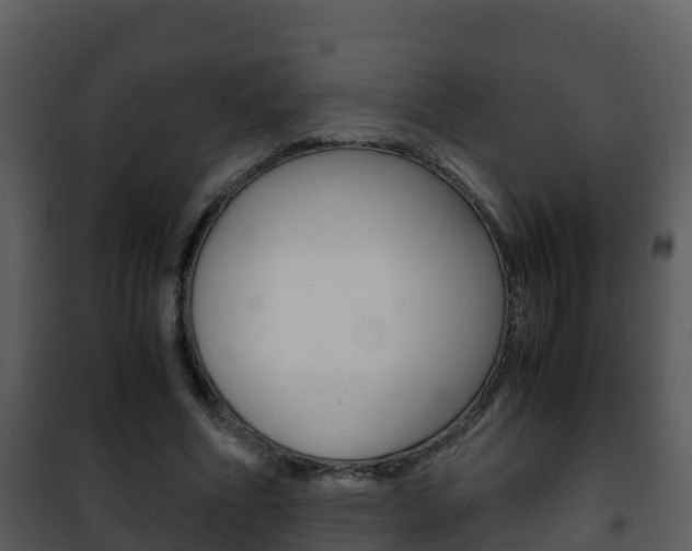 X0000101990586200807180827