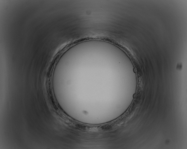 X0000101990587200807180827