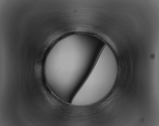 X0000101990588200807180827