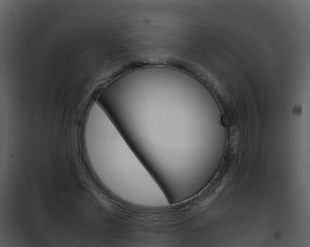 X0000101990589200807180827