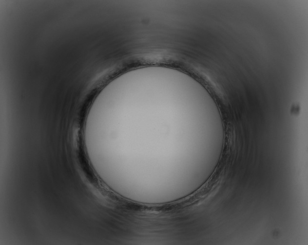 X0000101990590200807180827