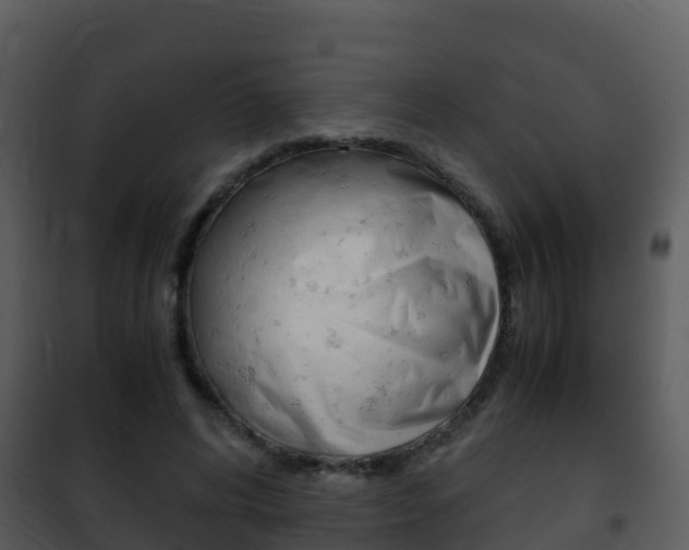 X0000101990592200807180827