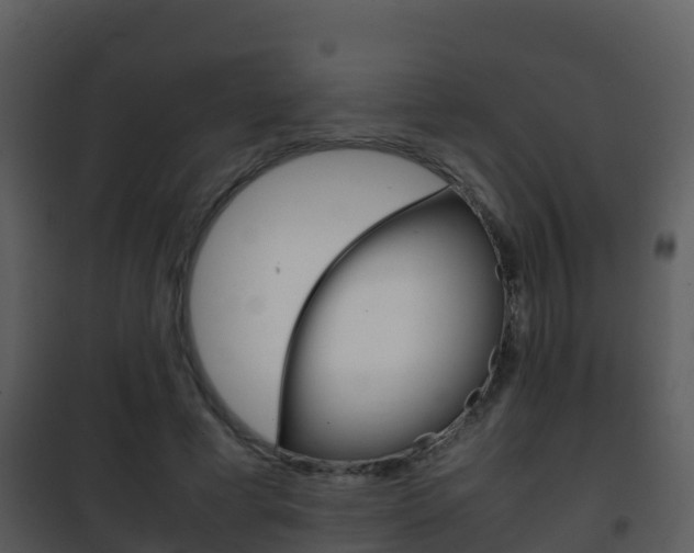 X0000101990593200807180827