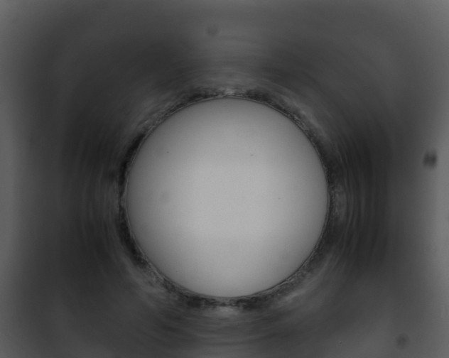 X0000101990594200807180827