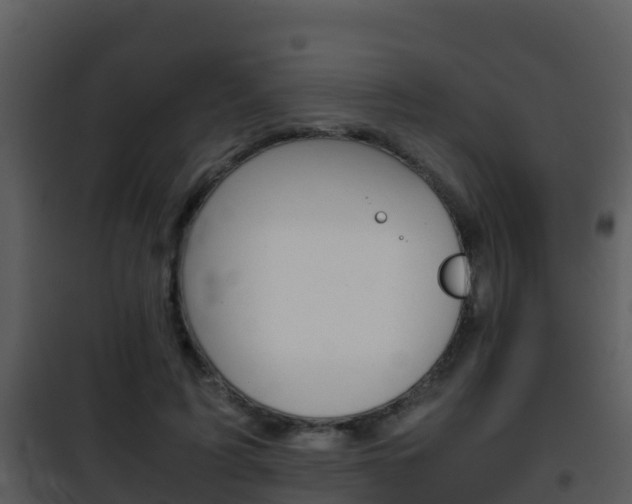 X0000101990595200807180827