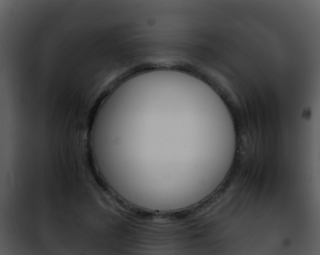 X0000101990596200807180827
