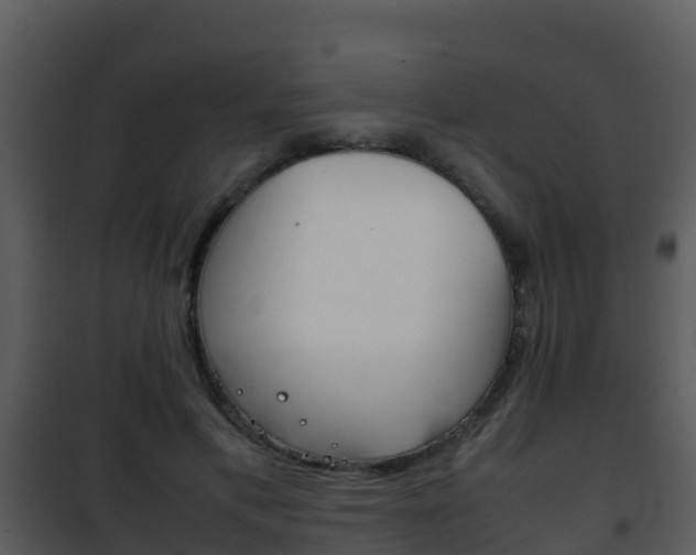 X0000101990597200807180827