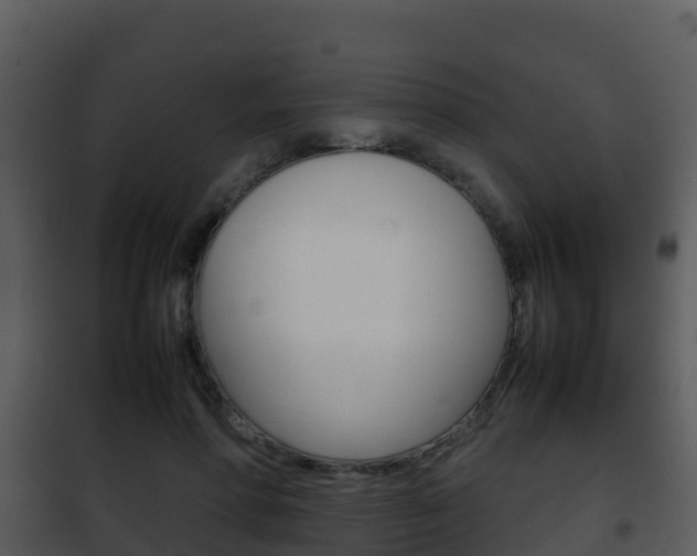 X0000101990598200807180827
