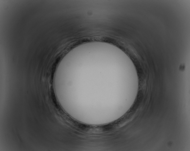 X0000101990599200807180826