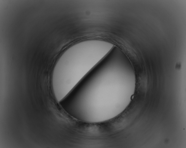 X0000101990600200807180826
