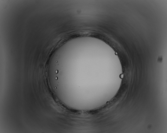 X0000101990601200807180826