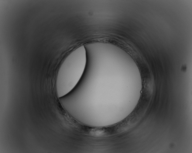 X0000101990602200807180826