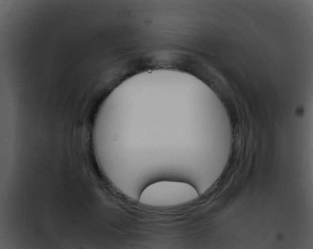 X0000101990603200807180826