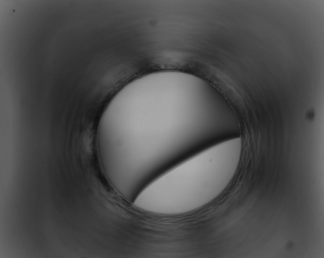 X0000101990604200807180826