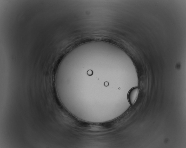 X0000101990605200807180826