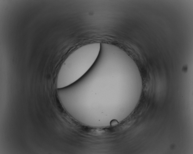 X0000101990607200807180826