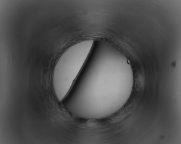 X0000101990608200807180826