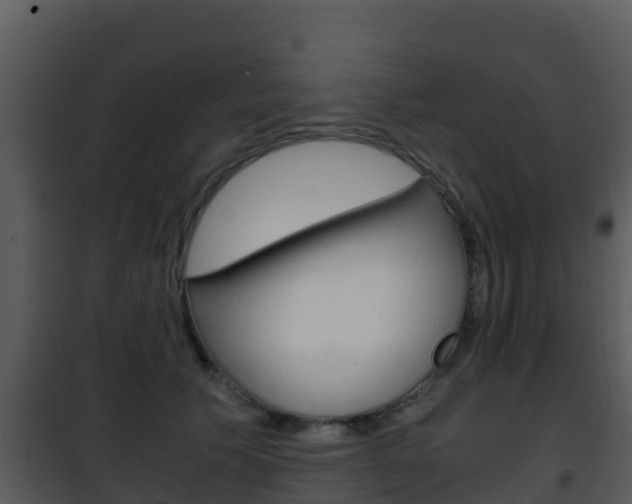 X0000101990609200807180826