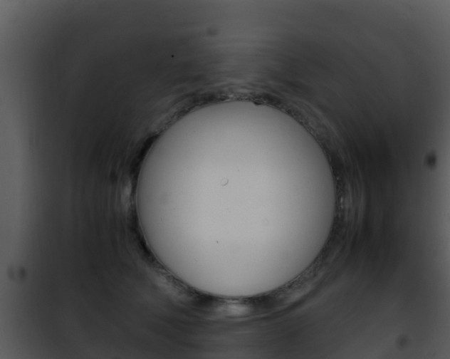 X0000101990610200807180826