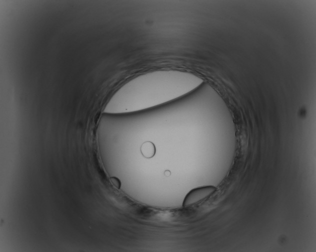 X0000101990611200807180826