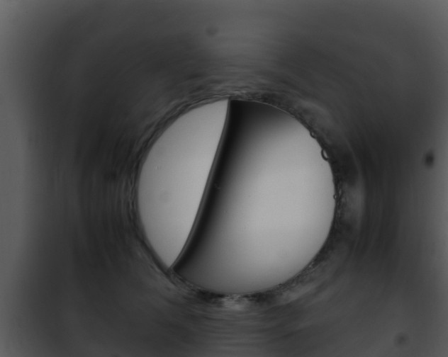 X0000101990612200807180826