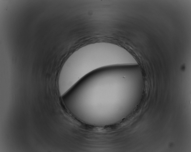 X0000101990613200807180826