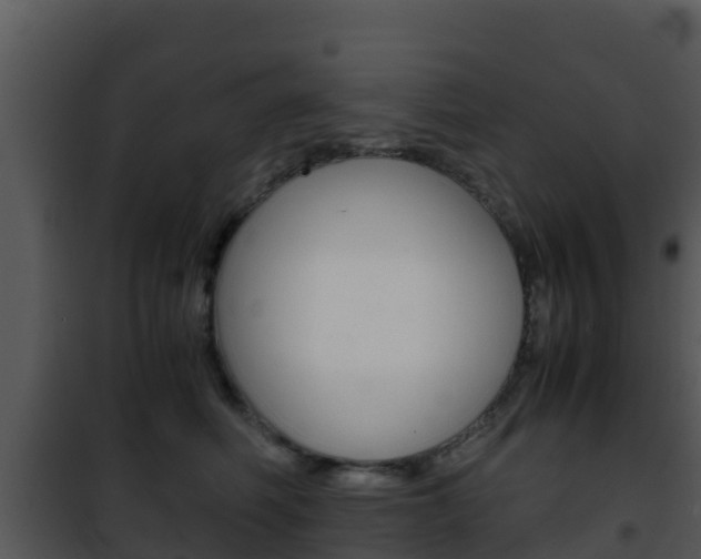 X0000101990614200807180826
