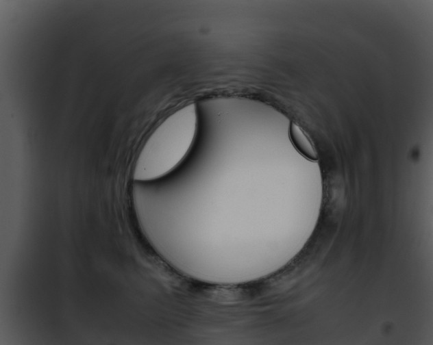 X0000101990615200807180826