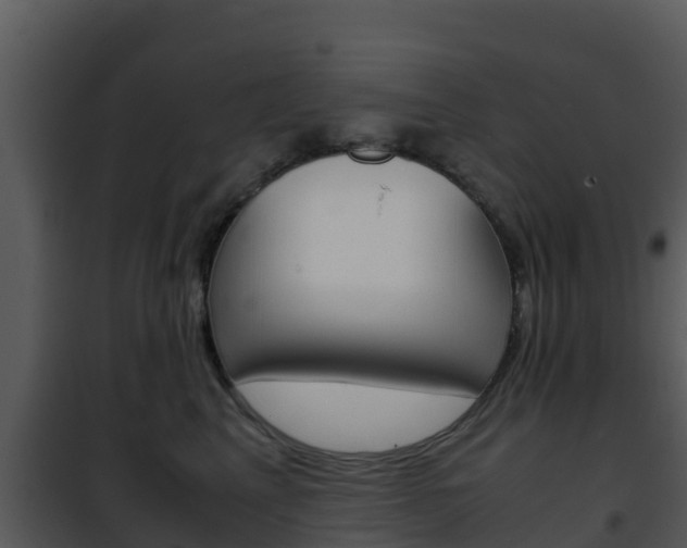 X0000101990617200807180826