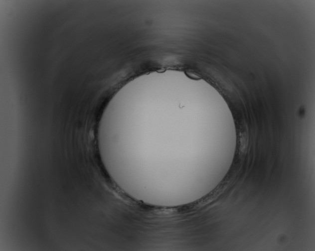 X0000101990618200807180826