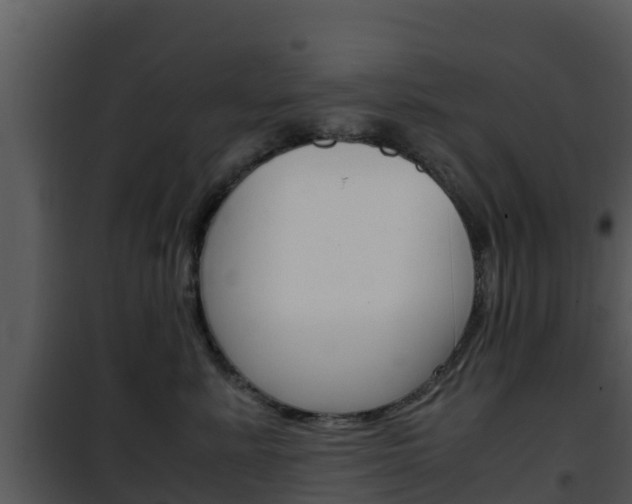 X0000101990619200807180826